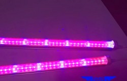 LED植物補光燈全光譜 LED植物生長燈管防水 LED植物燈管 T8分體